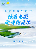 久久精品免费看