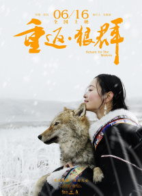 女讲师